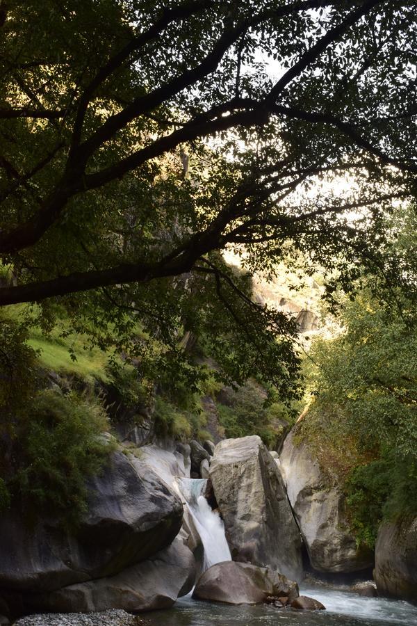 Offbeat Abodes - Tirthan Valley Banjār 外观 照片